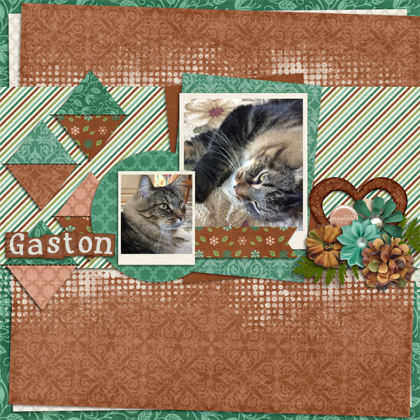 Gaston