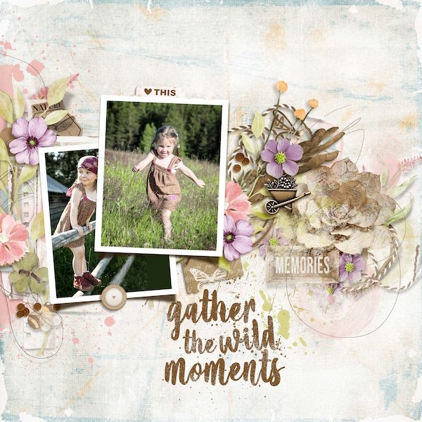 Gather the wild moments