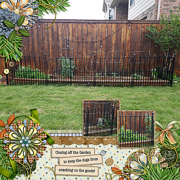 Gating off the Garden