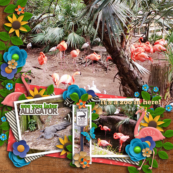 Gator and Flamingos