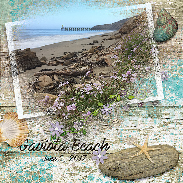 Gaviota Beach