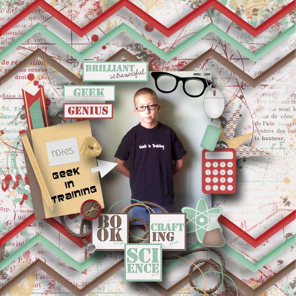 Geek In Training