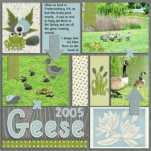 Geese 2005