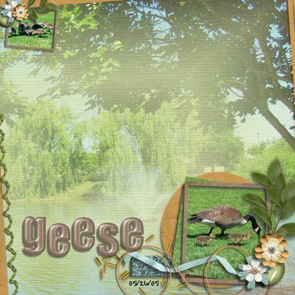 Geese
