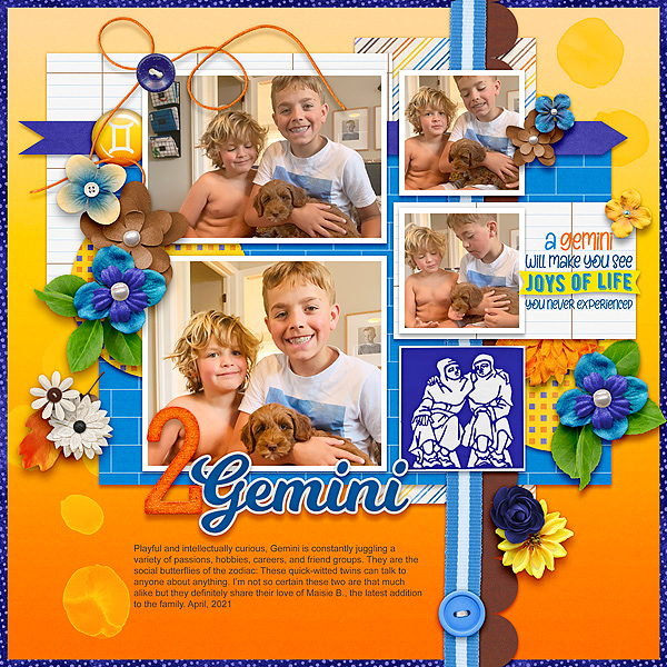 Gemini x 2