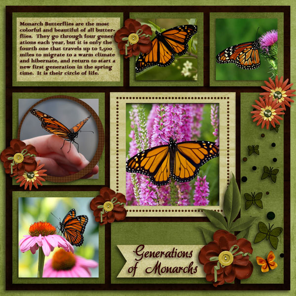Generations Of Monarchs