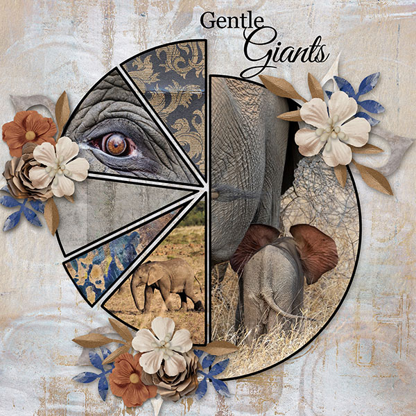 Gentle Giants