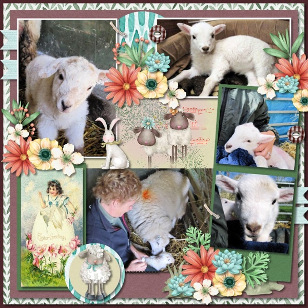 Gentle Spring