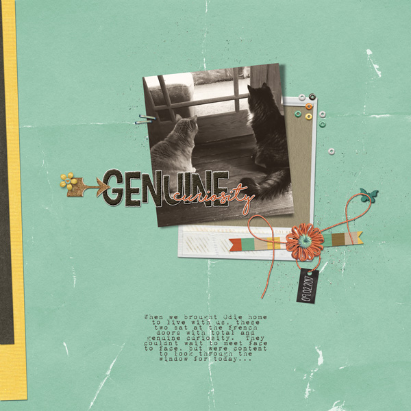 Genuine Curiosity | Sept. 2017