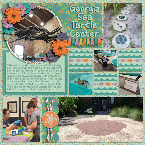 Georgia Sea Turtle Center
