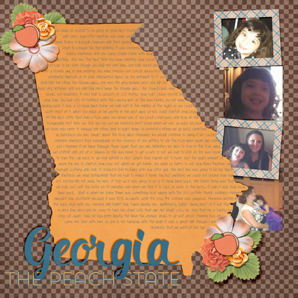 Georgia The Peach State