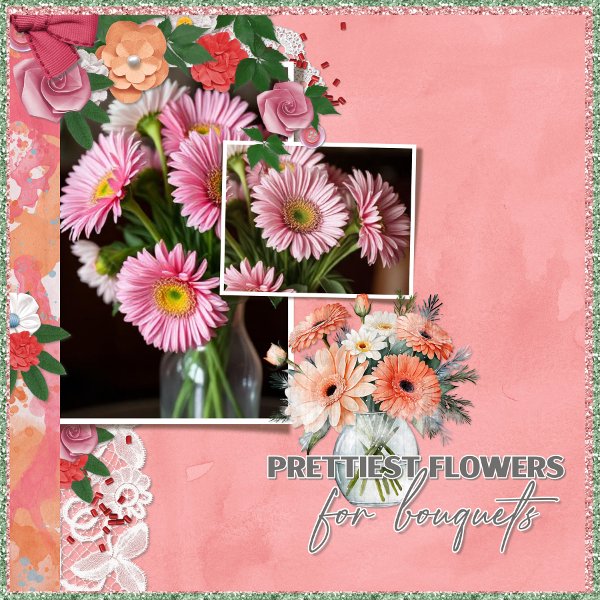 gerberas.jpg