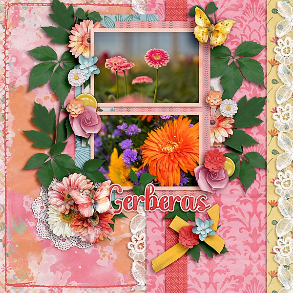 Gerberas-web600.jpg