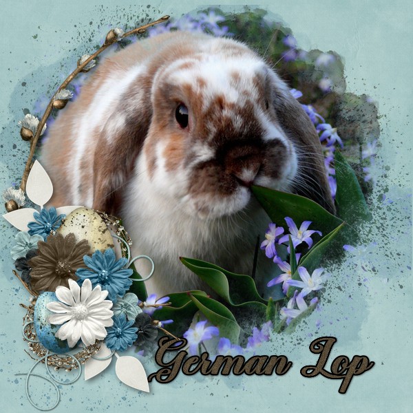 German Lop