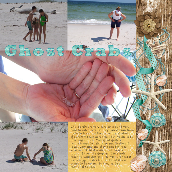 Ghost Crabs