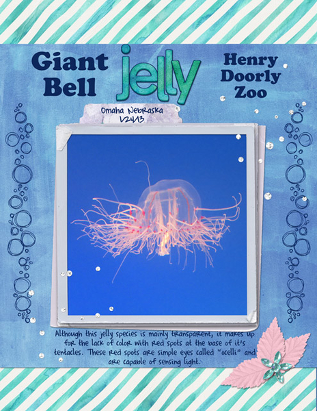Giant Bell Jelly