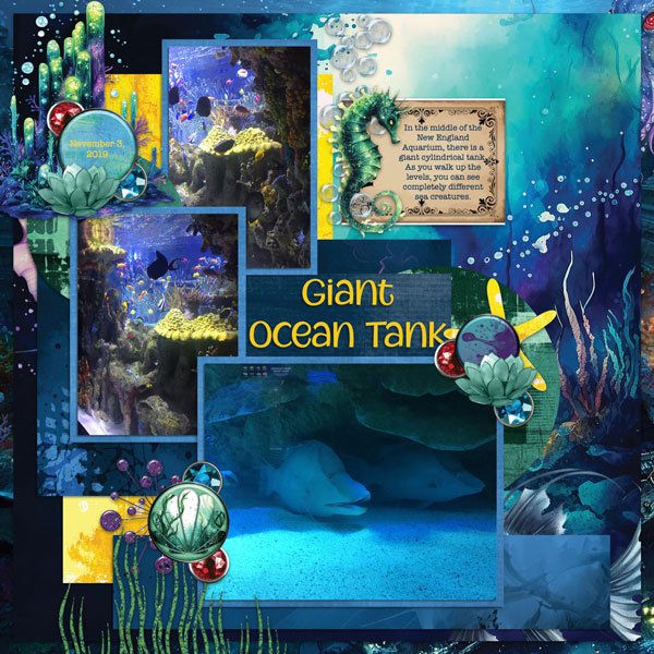 Giant Ocean Tank