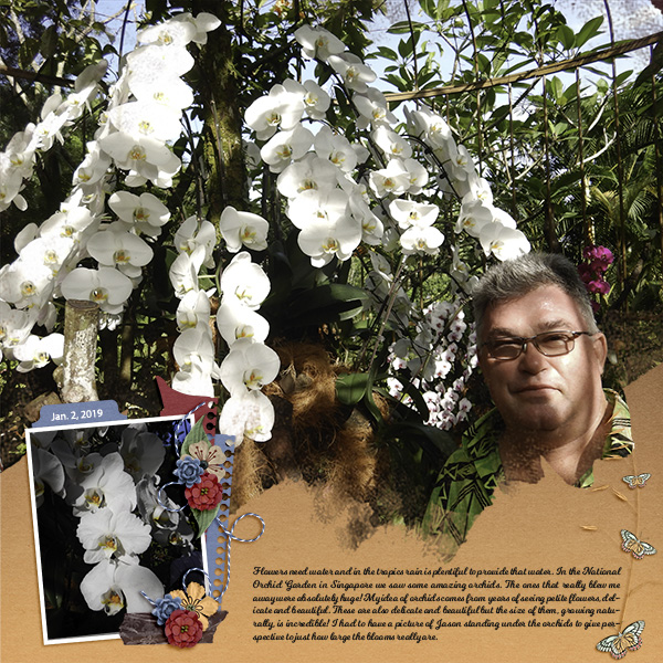 Giant Orchids
