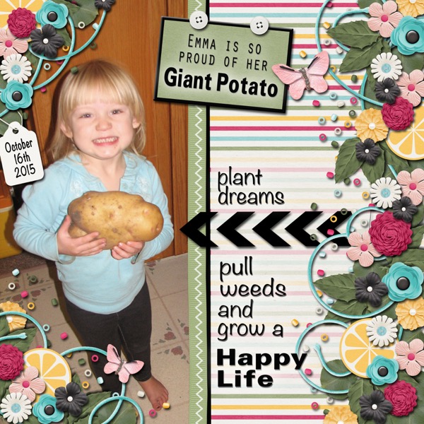 Giant Potatoes