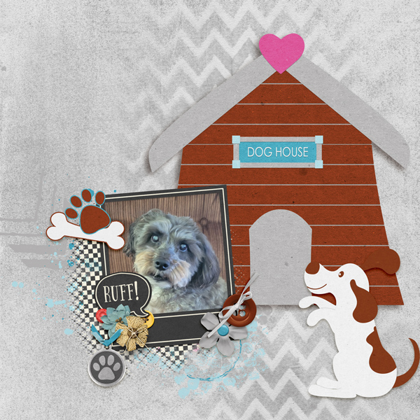 Gidget May 2024