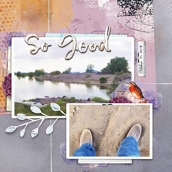 Gila river