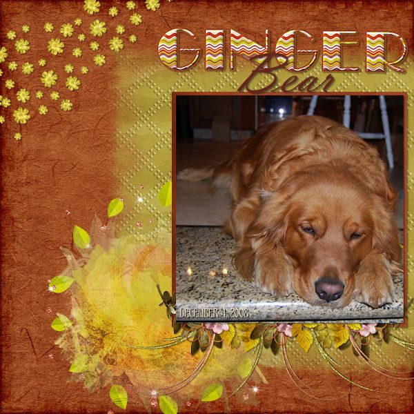 Ginger Bear