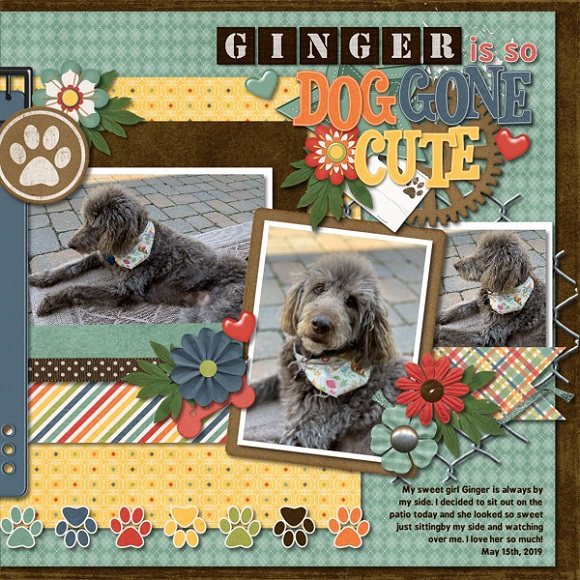 Ginger is so dog gone cute