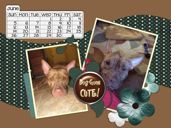 Ginger - June 2016 Desktop Challene
