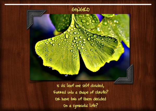 GINGKO