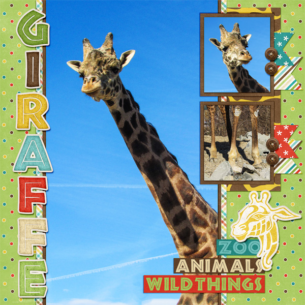 Giraffe Close Up