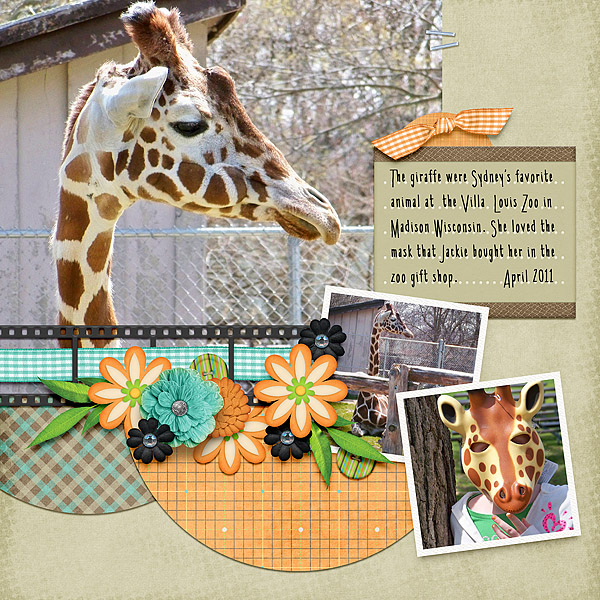 Giraffe Love