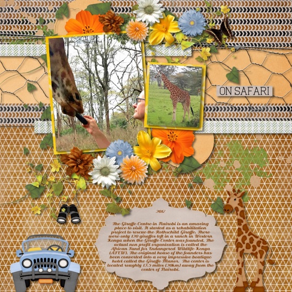 Giraffe Sanctuary