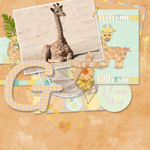 Giraffe
