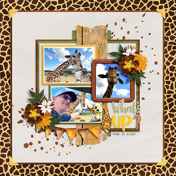Giraffe