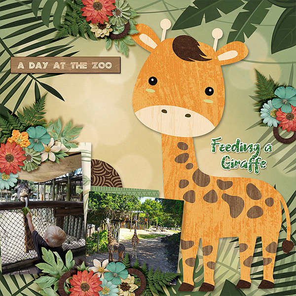 giraffee-feeding-10119
