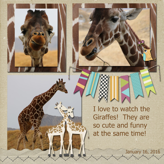Giraffes Immunity Challenge 4