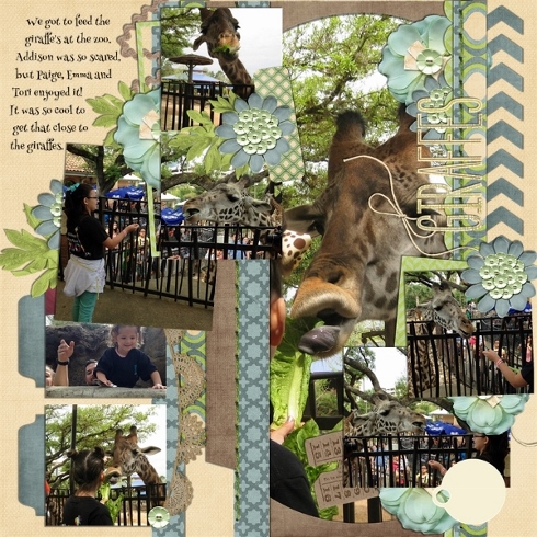 Giraffes