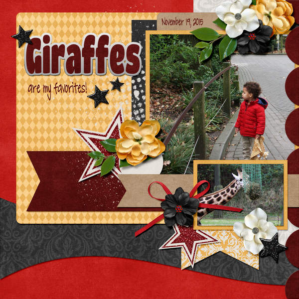 Giraffes!
