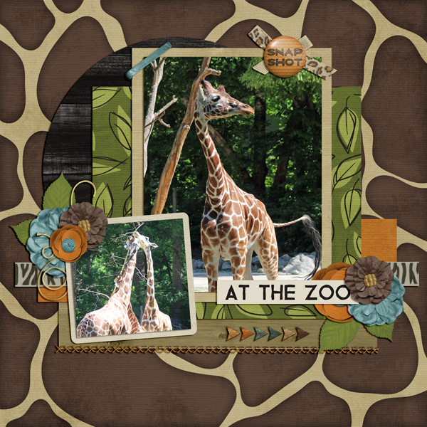 giraffes