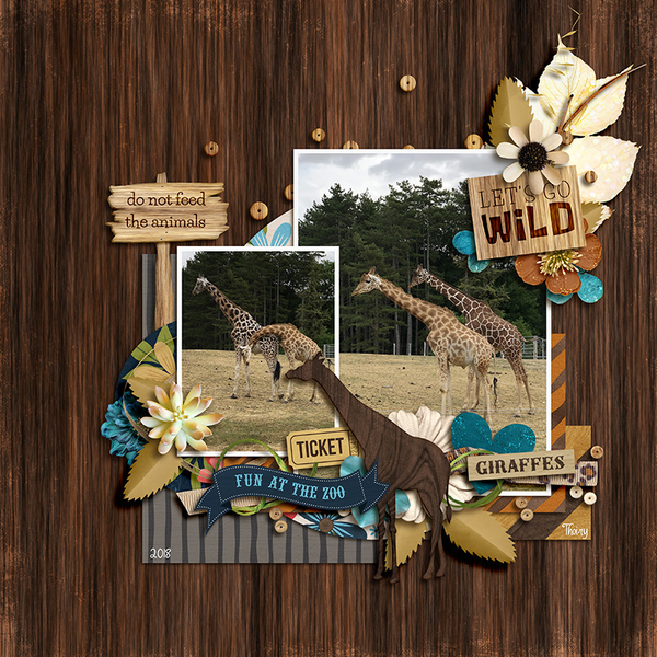Giraffes