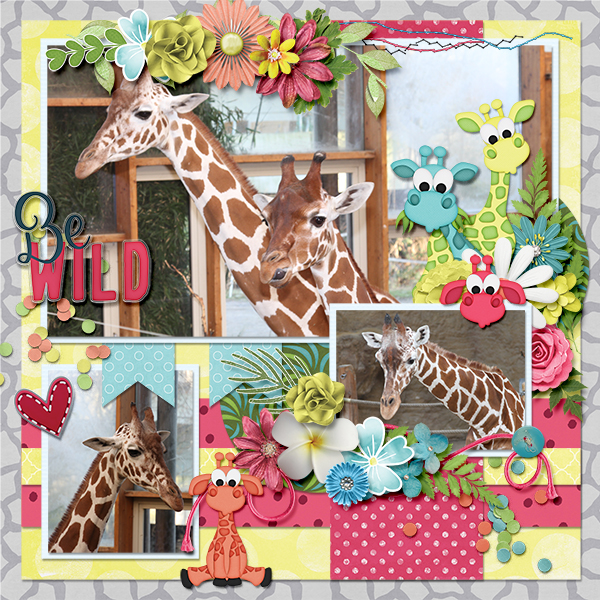 Giraffes
