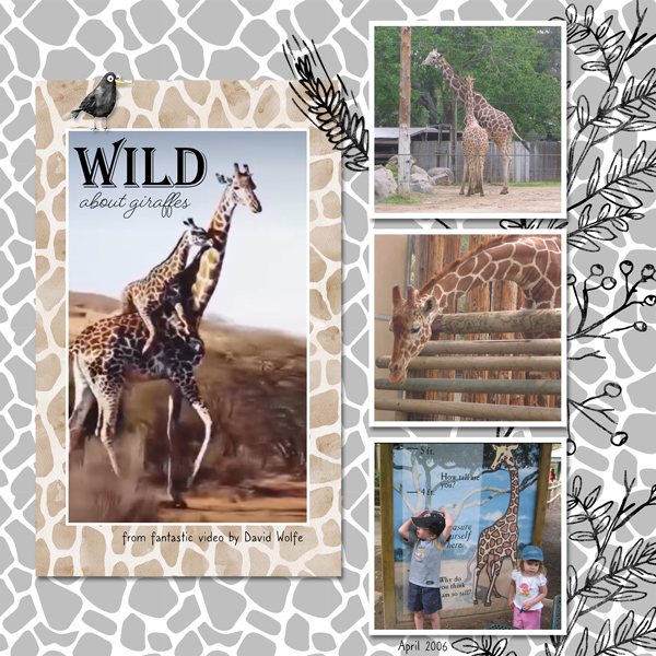 Giraffes