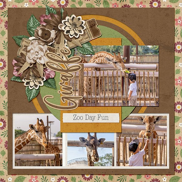 Giraffes