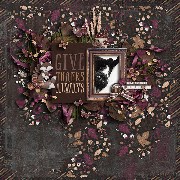 Give Thanks Always