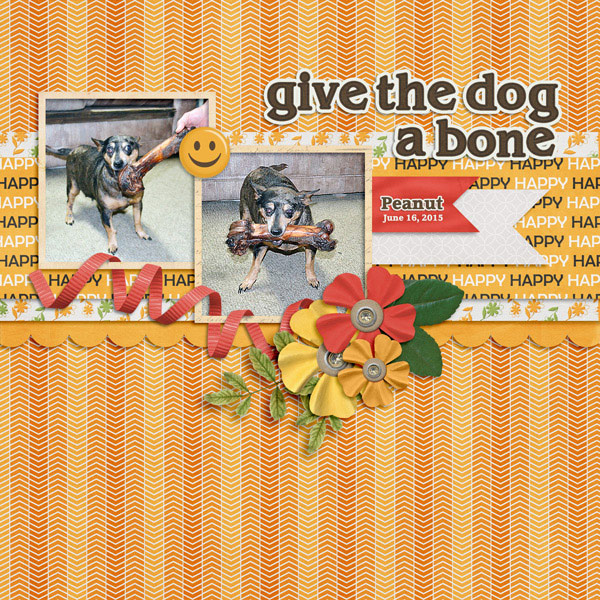 Give the Dog a Bone