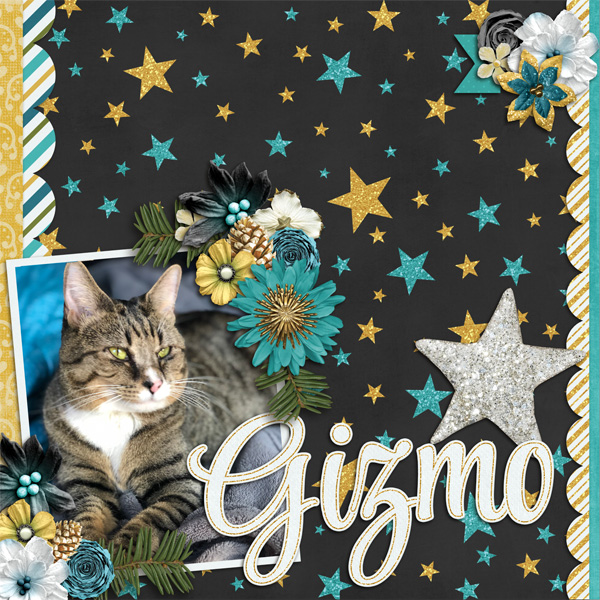 Gizmo 2019