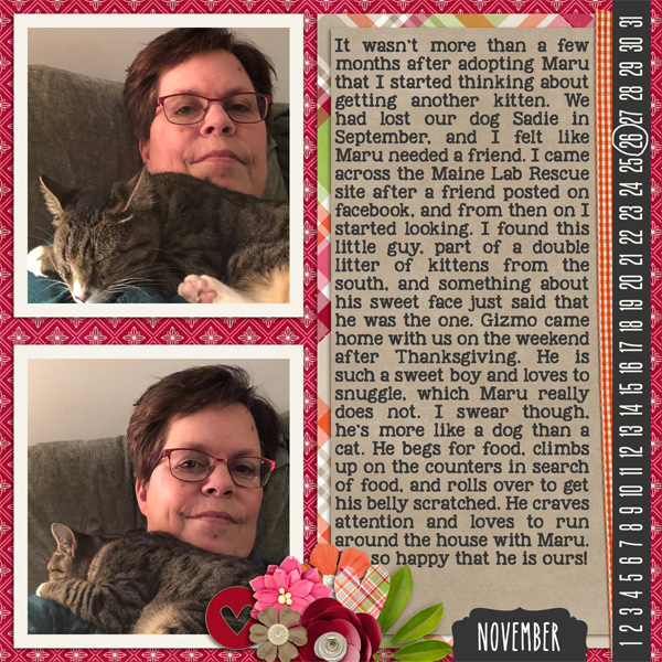 Gizmo adoption