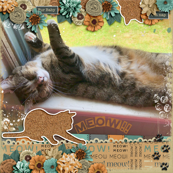 Gizmo Catnap