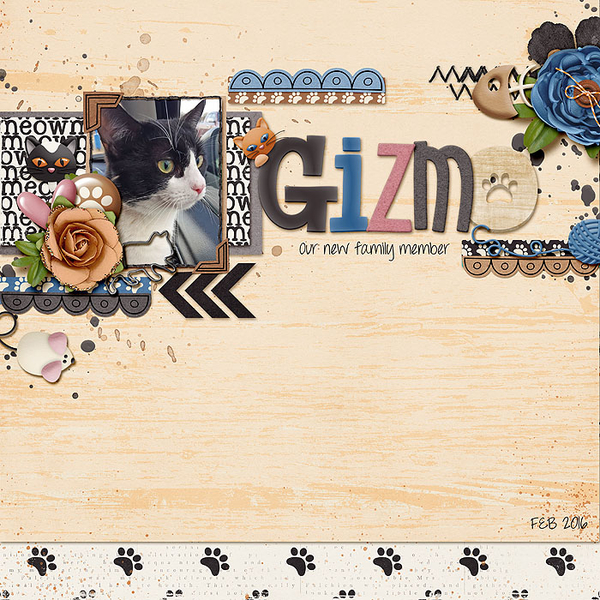 Gizmo