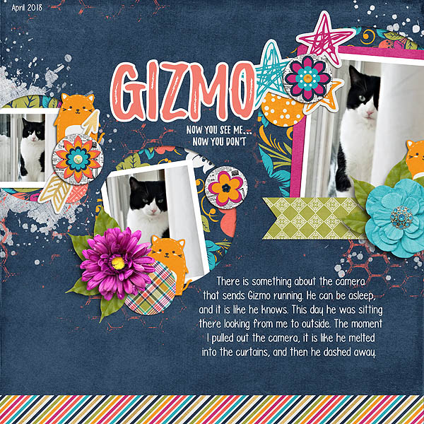 Gizmo